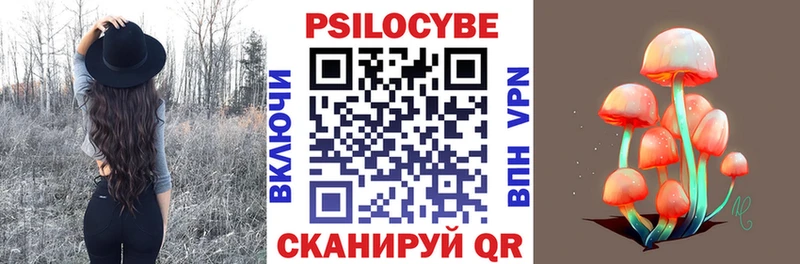 Купить закладки  Зеленокумск  Псилоцибиновые грибы Cubensis 